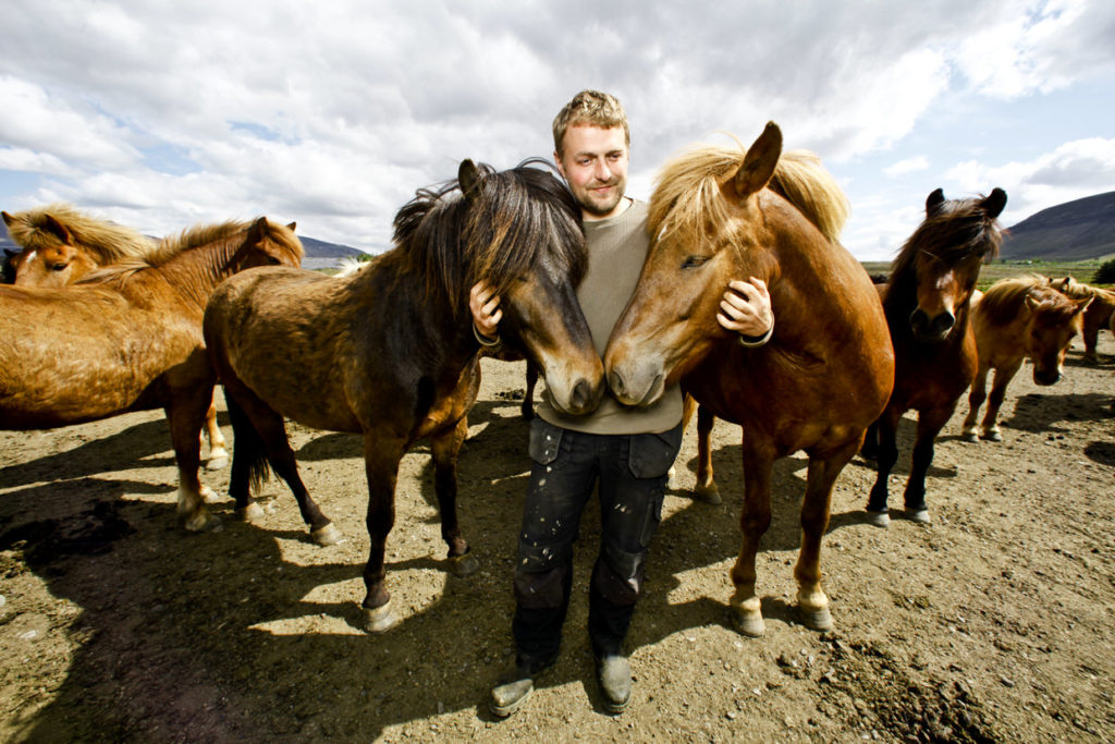 a man hugging two horses