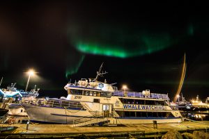 Things to know for your Northern Lights by Boat Adventure