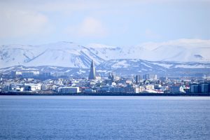 Winter Whale Watching from Reykjavik