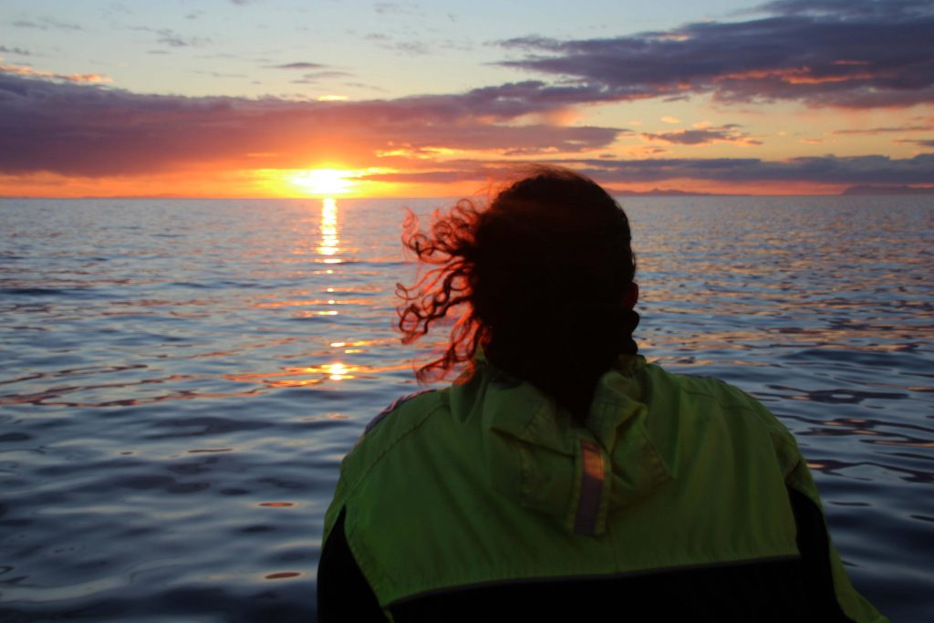 a woman photographed from the back watching a sunset