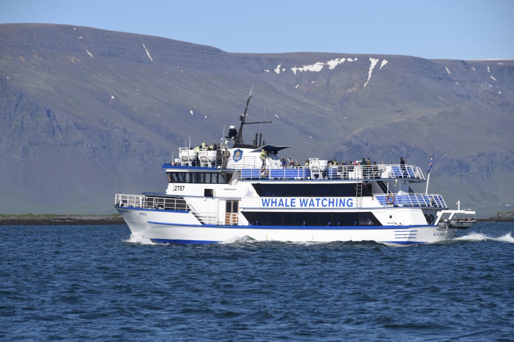 Our Classic Whale Watching boat sails out from Reykjavík!