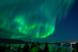 What to expect on a Northern Lights boat tour