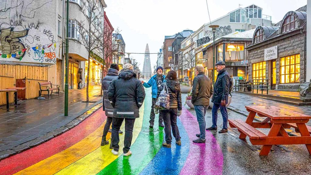 a group tour in reykjavik