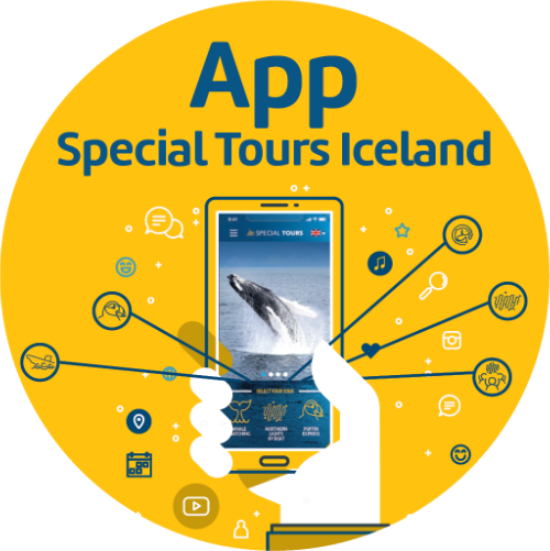 Special Tours - Whale Watching and other tours from Reykjavik - Iceland