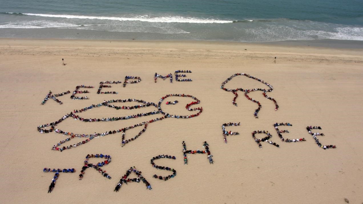 Keep the ocean trash free - Whale conservation