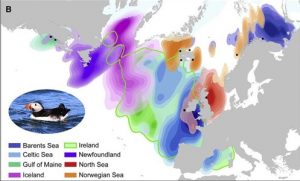 The Mystery Of The Puffin In Winter Special Tours